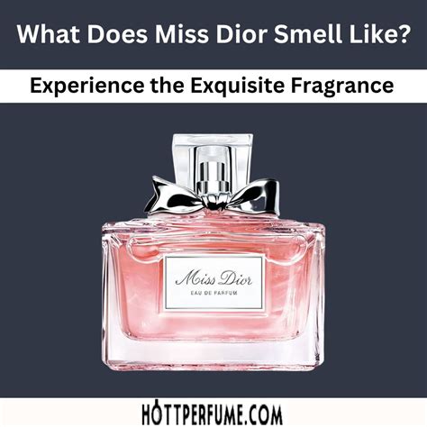 mademoiselle perfume dior|what smells like miss Dior.